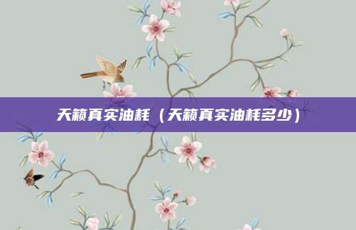 天籁真实油耗(天籁真实油耗多少)