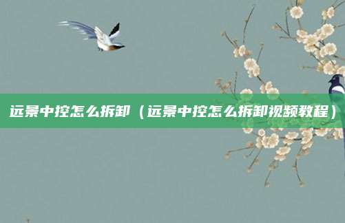 远景中控怎么拆卸(远景中控怎么拆卸视频教程)