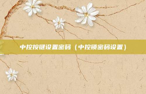 中控按键设置密码(中控锁密码设置)