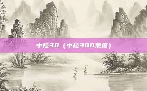 中控30(中控300系统)