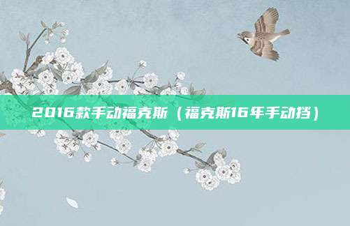 2016款手动福克斯（福克斯16年手动挡）