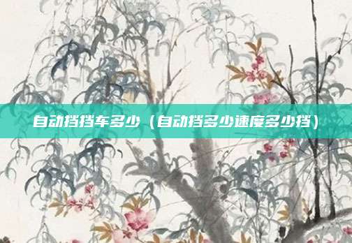 自动挡挡车多少(自动挡多少速度多少挡)