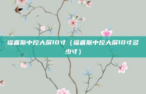 福睿斯中控大屏10寸(福睿斯中控大屏10寸多少寸)