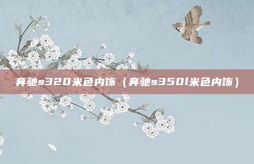 奔驰s320米色内饰(奔驰s350l米色内饰)