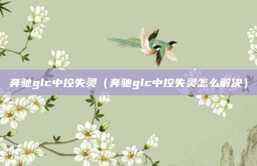 奔驰glc中控失灵(奔驰glc中控失灵怎么解决)