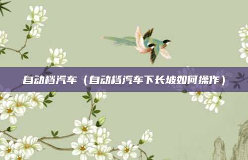 自动档汽车（自动档汽车下长坡如何操作）