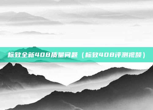 标致全新408质量问题（标致408评测视频）