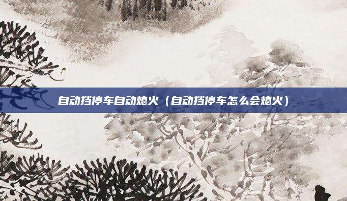 自动挡停车自动熄火(自动挡停车怎么会熄火)