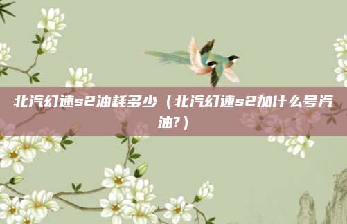 北汽幻速s2油耗多少(北汽幻速s2加什么号汽油?)