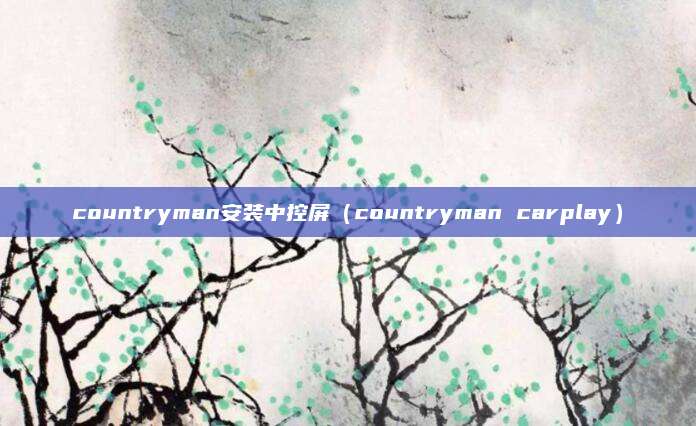 countryman安装中控屏(countryman carplay)