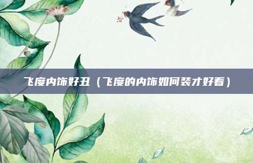 飞度内饰好丑(飞度的内饰如何装才好看)