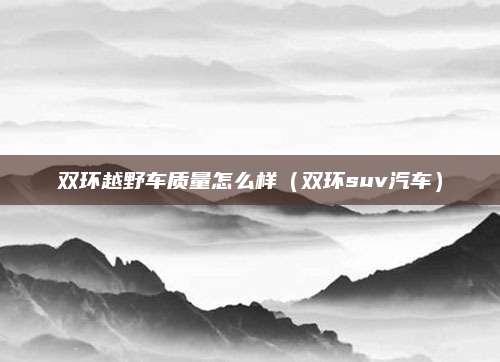 双环越野车质量怎么样(双环suv汽车)