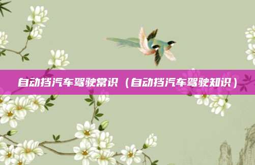 自动挡汽车驾驶常识(自动挡汽车驾驶知识)