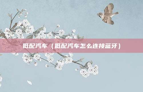 低配汽车(低配汽车怎么连接蓝牙)