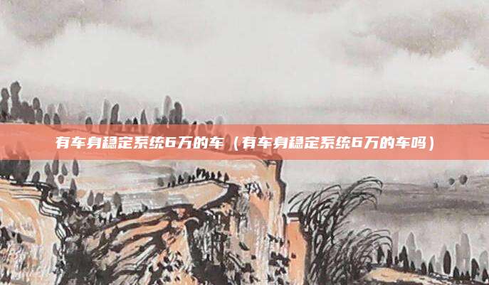 有车身稳定系统6万的车(有车身稳定系统6万的车吗)