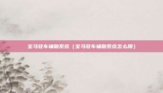 宝马驻车辅助系统(宝马驻车辅助系统怎么用)
