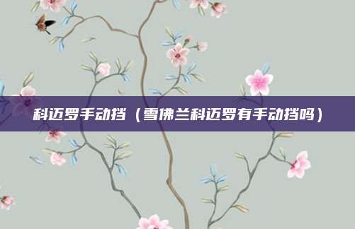 科迈罗手动挡(雪佛兰科迈罗有手动挡吗)
