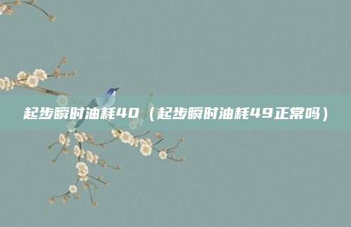 起步瞬时油耗40(起步瞬时油耗49正常吗)