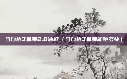 马自达3星骋2.0油耗(马自达3星骋能跑多快)
