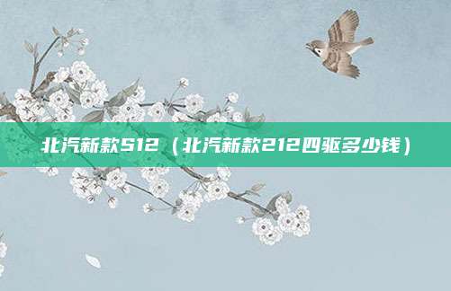 北汽新款S12(北汽新款212四驱多少钱)