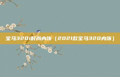 宝马320i时尚内饰(2021款宝马320内饰)