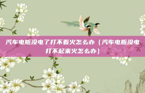 汽车电瓶没电了打不着火怎么办(汽车电瓶没电打不起来火怎么办)
