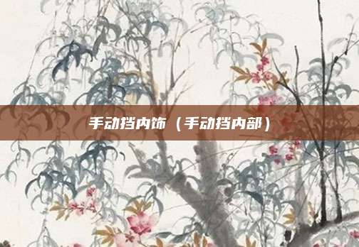 手动挡内饰(手动挡内部)
