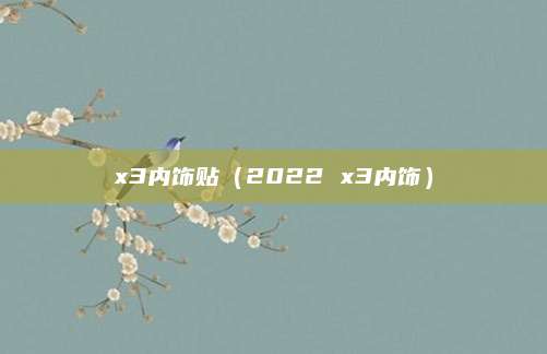 x3内饰贴(2022 x3内饰)
