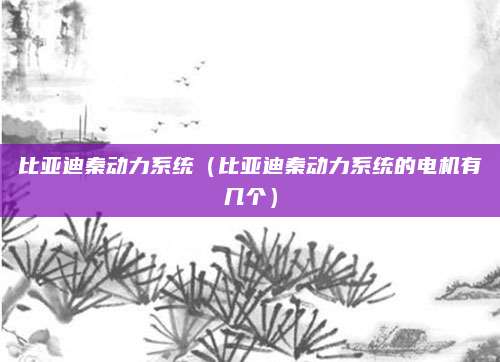 比亚迪秦动力系统(比亚迪秦动力系统的电机有几个)