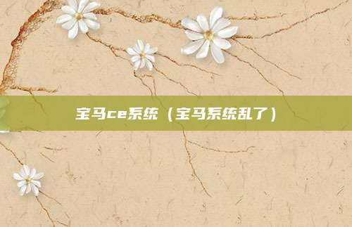 宝马ce系统（宝马系统乱了）