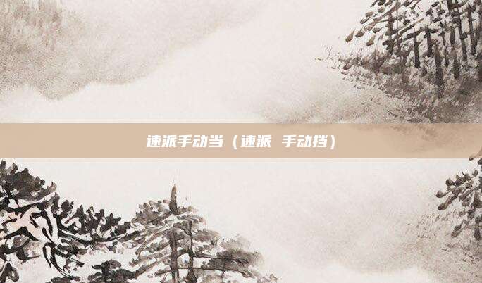 速派手动当(速派 手动挡)