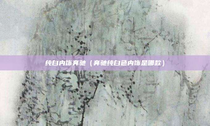 纯白内饰奔驰(奔驰纯白色内饰是哪款)