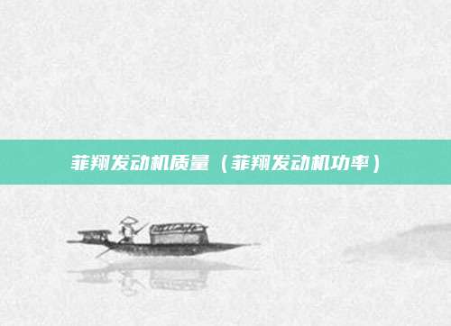 菲翔发动机质量（菲翔发动机功率）