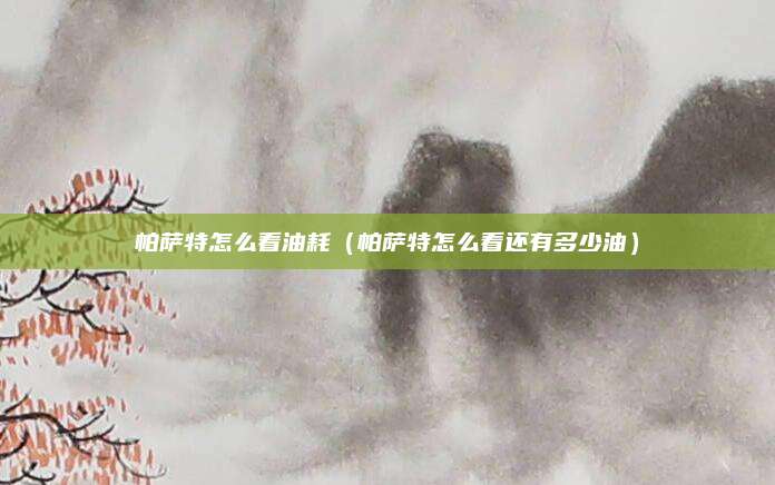 帕萨特怎么看油耗(帕萨特怎么看还有多少油)