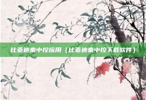 比亚迪秦中控应用(比亚迪秦中控下载软件)