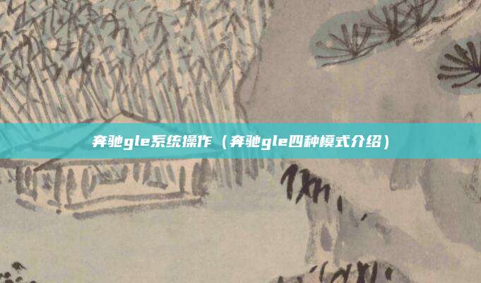 奔驰gle系统操作(奔驰gle四种模式介绍)