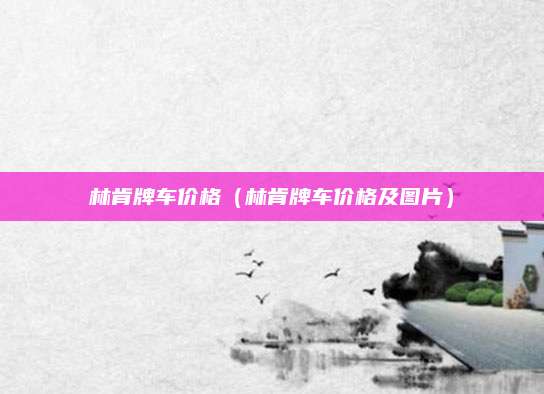 林肯牌车价格(林肯牌车价格及图片)