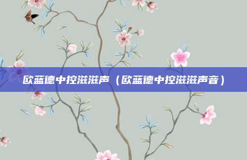 欧蓝德中控滋滋声(欧蓝德中控滋滋声音)