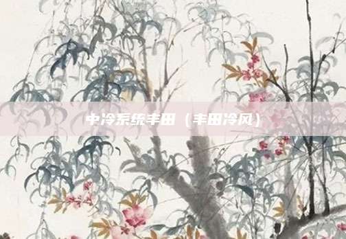 中冷系统丰田（丰田冷风）
