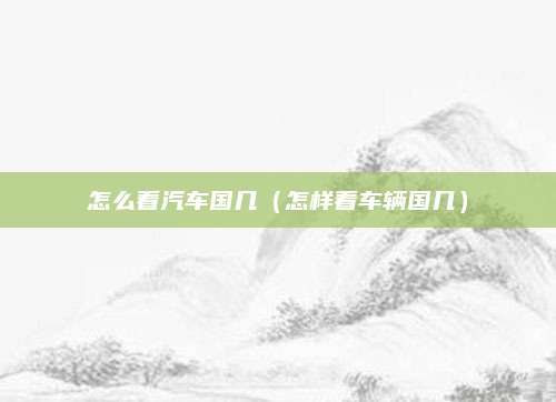 怎么看汽车国几(怎样看车辆国几)
