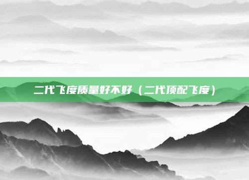 二代飞度质量好不好(二代顶配飞度)