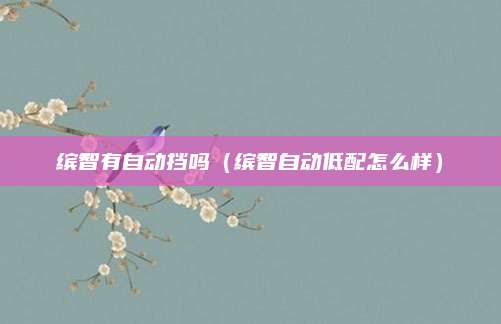 缤智有自动挡吗(缤智自动低配怎么样)