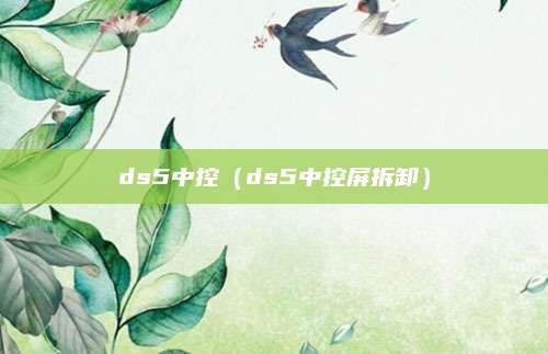 ds5中控(ds5中控屏拆卸)