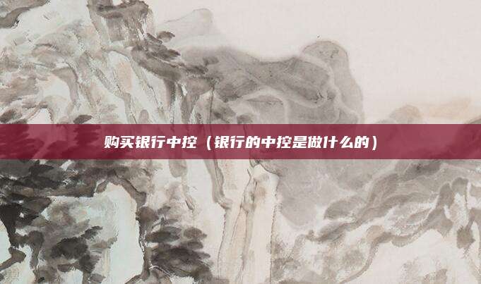 购买银行中控(银行的中控是做什么的)