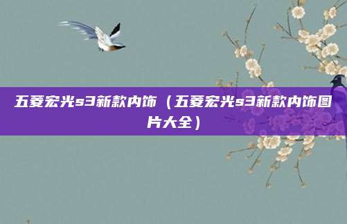 五菱宏光s3新款内饰(五菱宏光s3新款内饰图片大全)