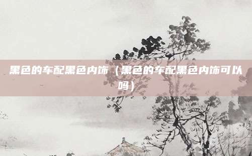 黑色的车配黑色内饰(黑色的车配黑色内饰可以吗)