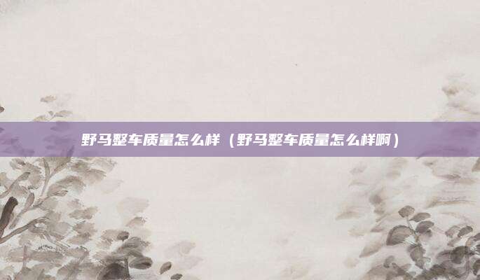 野马整车质量怎么样(野马整车质量怎么样啊)