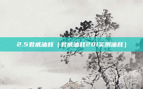 2.5君威油耗(君威油耗20l实测油耗)