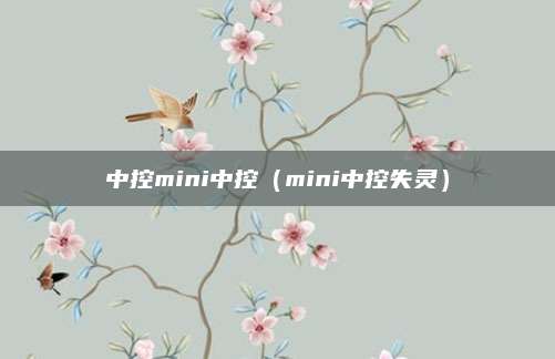 中控mini中控(mini中控失灵)