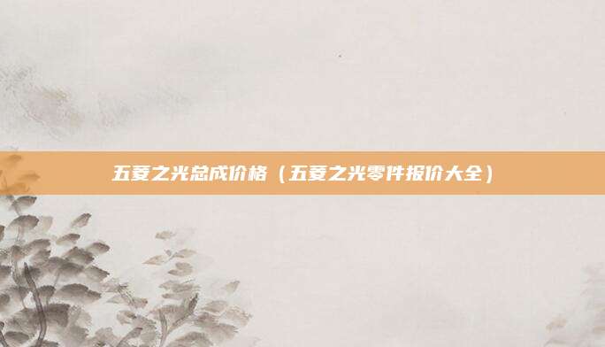 五菱之光总成价格(五菱之光零件报价大全)
